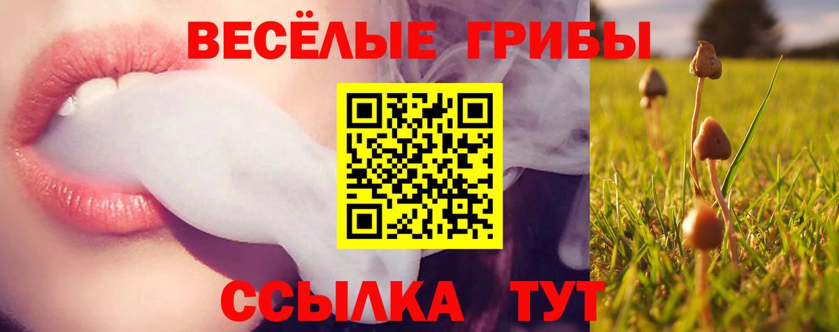 Обь  Галлюциногенные грибы мухоморы  Галлюциногенные грибы ЛСД  Вход с VPN 